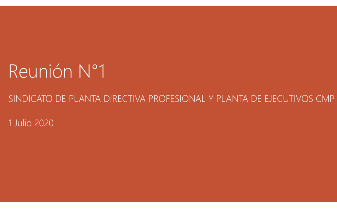 Minuta Reunión Sindical 01 Julio 2020